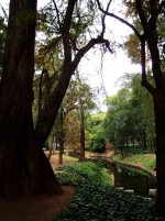 Arboles y Parques Chapultepec